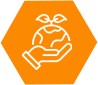 icon6